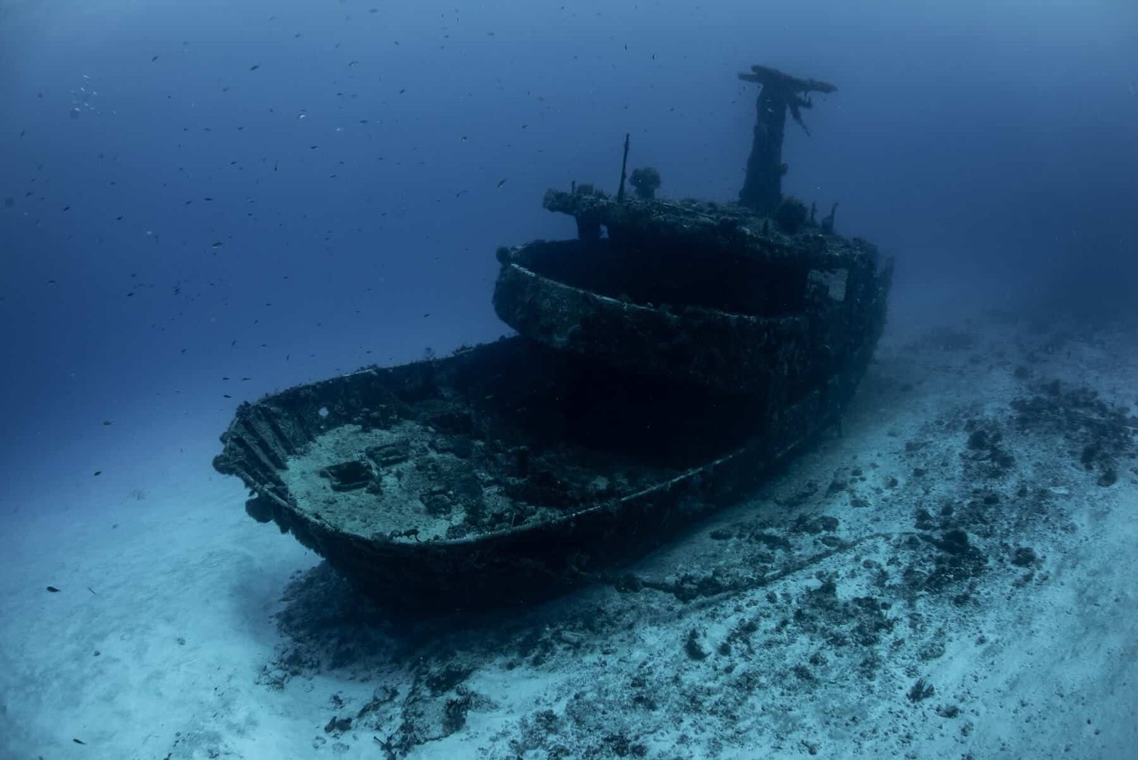 Deep Diver Kurs