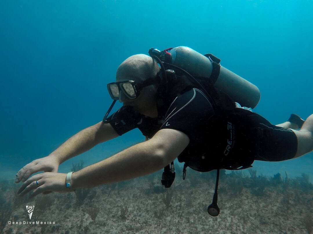 Divemaster Kurs