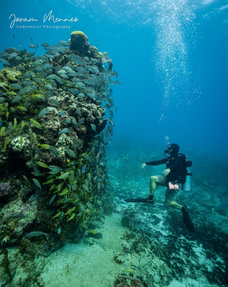 Tauchen in Playa del Carmen