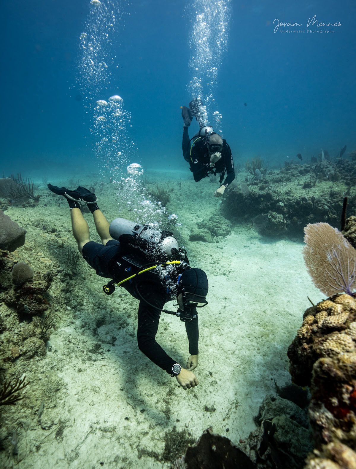 Divemaster Kurs