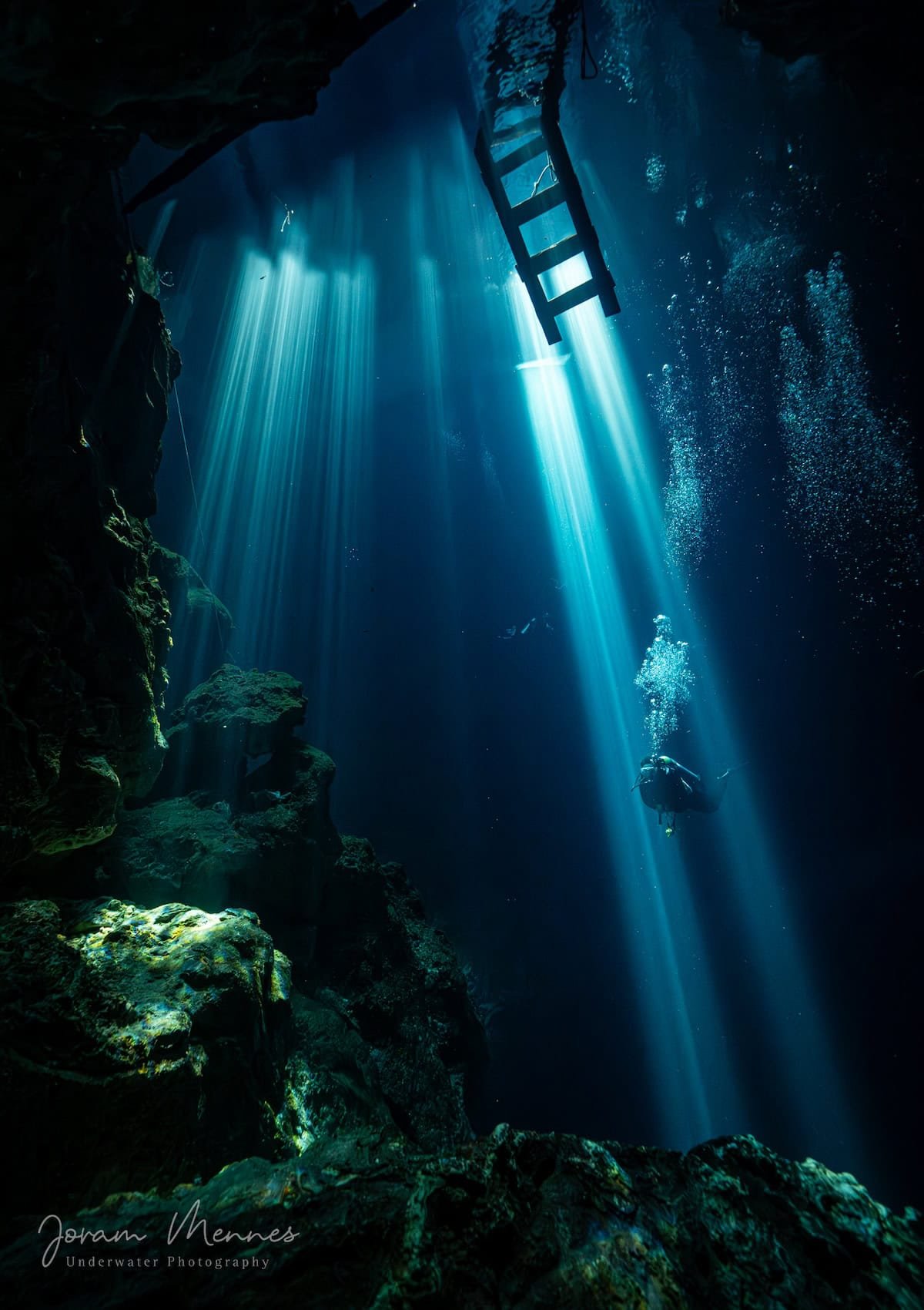 Padi Tec 40
